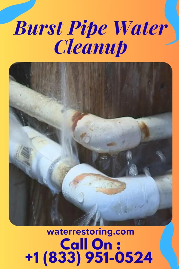 Burst Pipe Water Cleanup in Lilly, GA